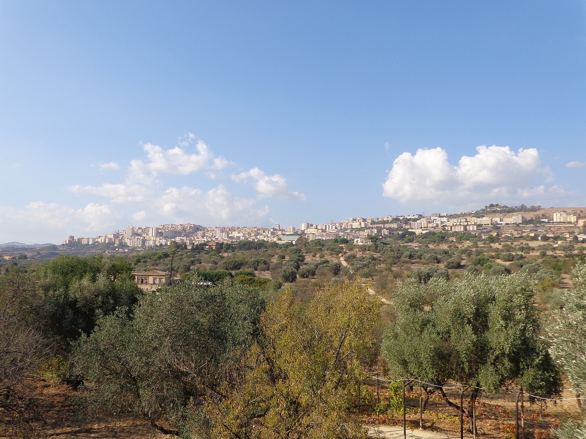Veduta panoramica del santuario di Akragas nella Valle dei Templi