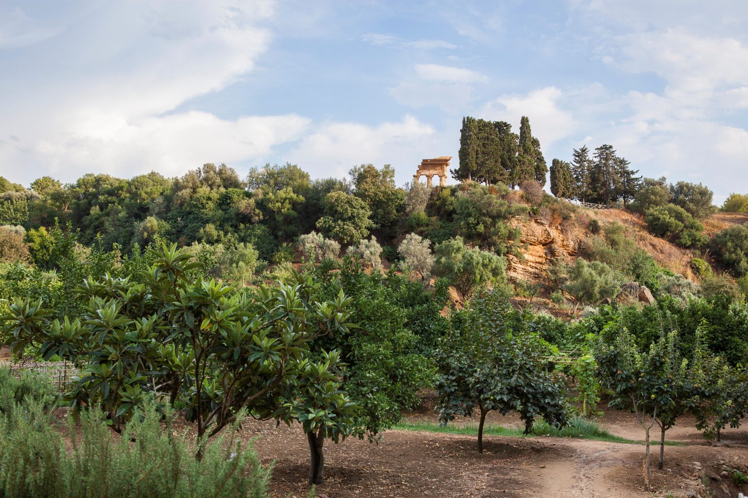 Gli agrumi del Giardino della Kolymbethra dentro la Valle dei Templi