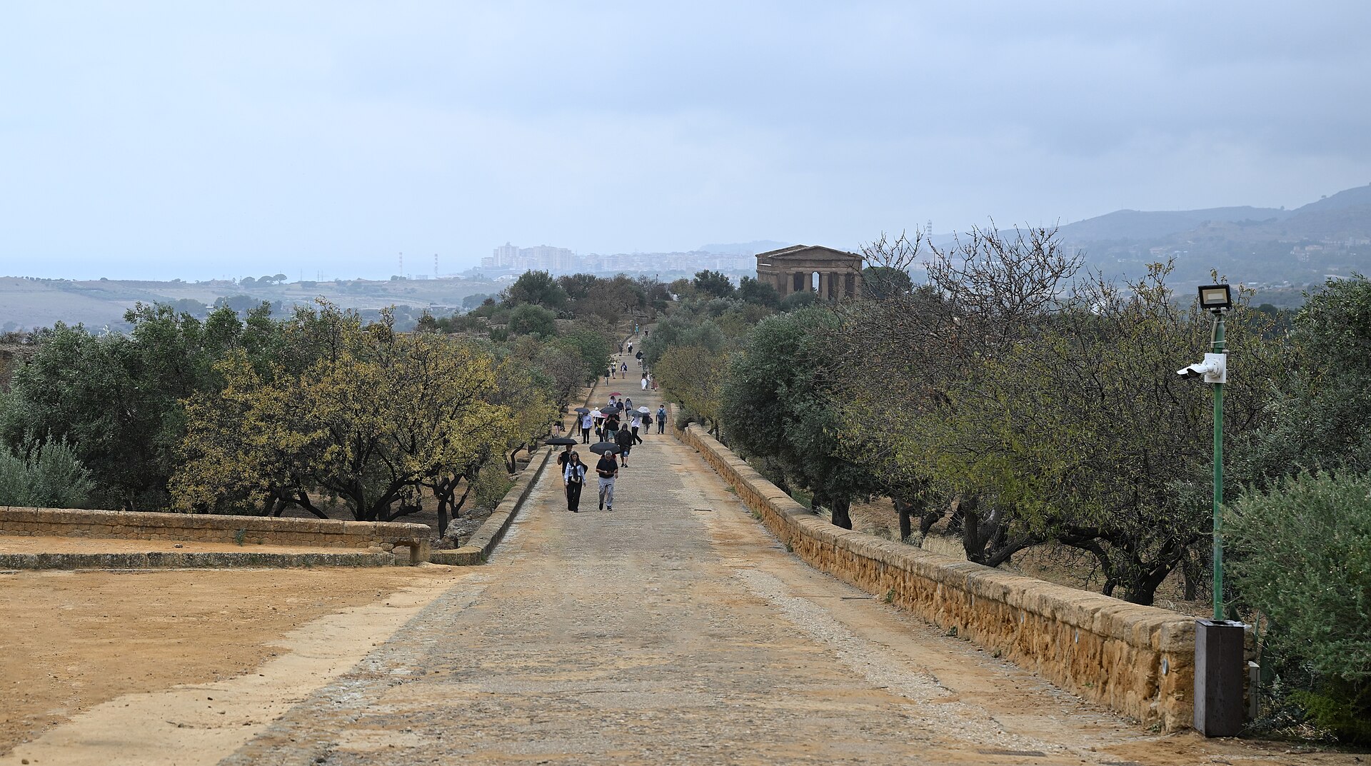 La Via Sacra fra gli olivi con il Tempio della Concordia in fondo